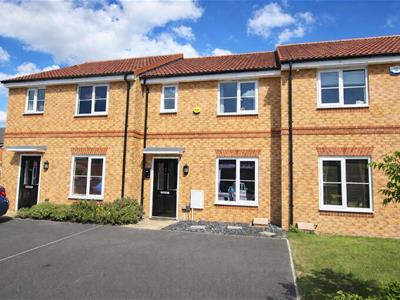 Picture 19